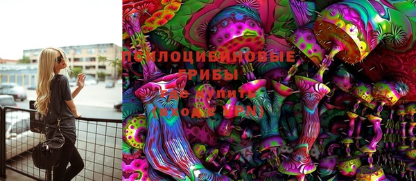 a pvp Осинники