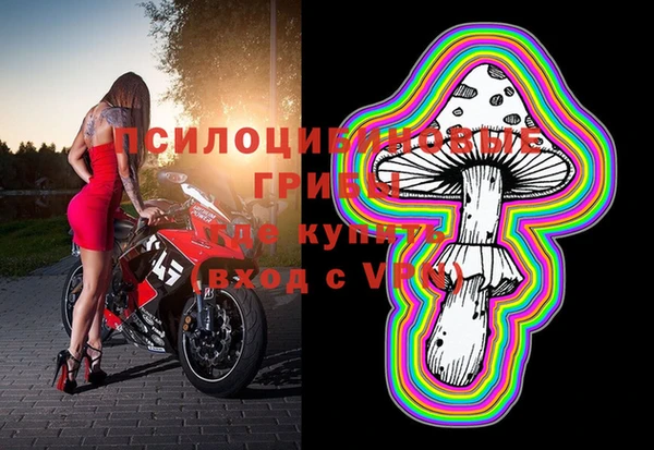 соль ск Осташков