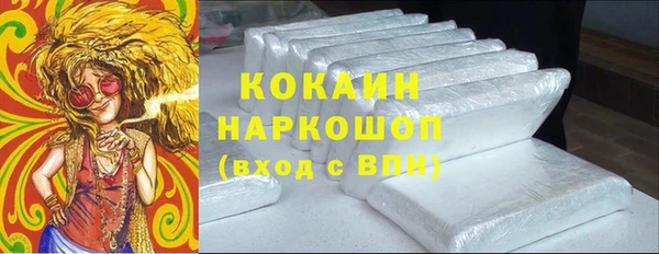 мет Няндома