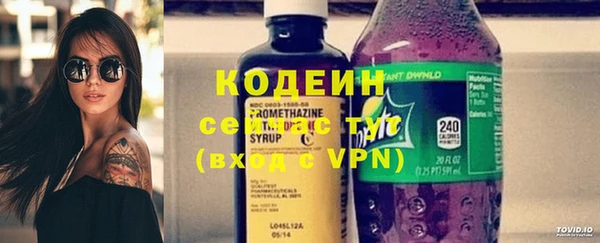 мет Няндома