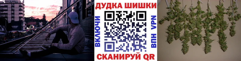 omg tor  Сурск  Шишки марихуана SATIVA & INDICA 